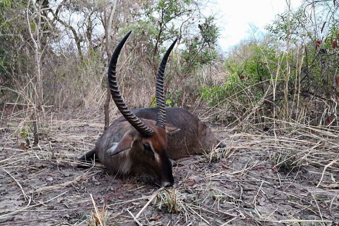 Malepartus Jagdreisen - Benin