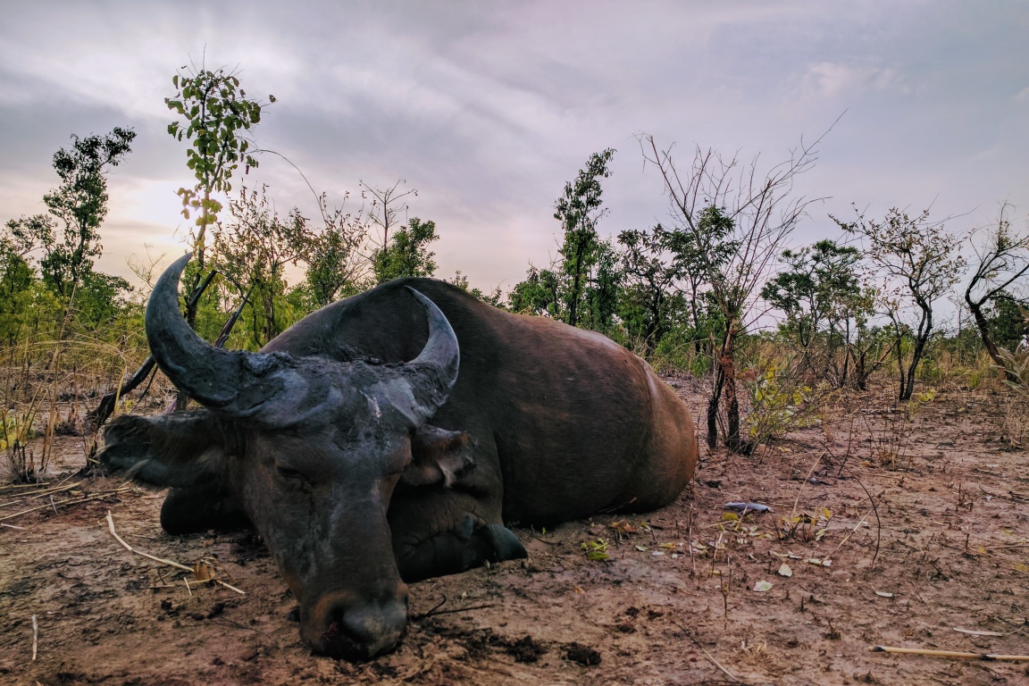 Malepartus Jagdreisen - Benin