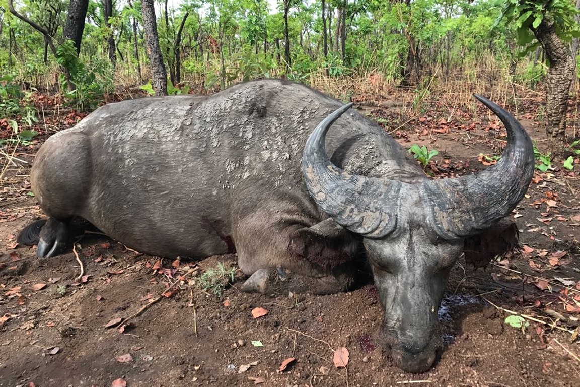 Malepartus Jagdreisen - Benin