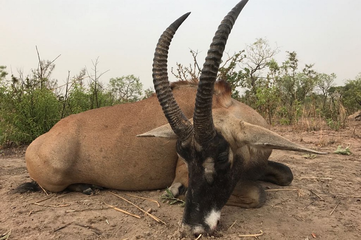 Malepartus Jagdreisen - Benin