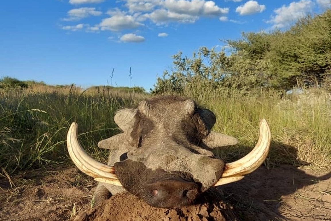 Malepartus Jagdreisen - Botswana