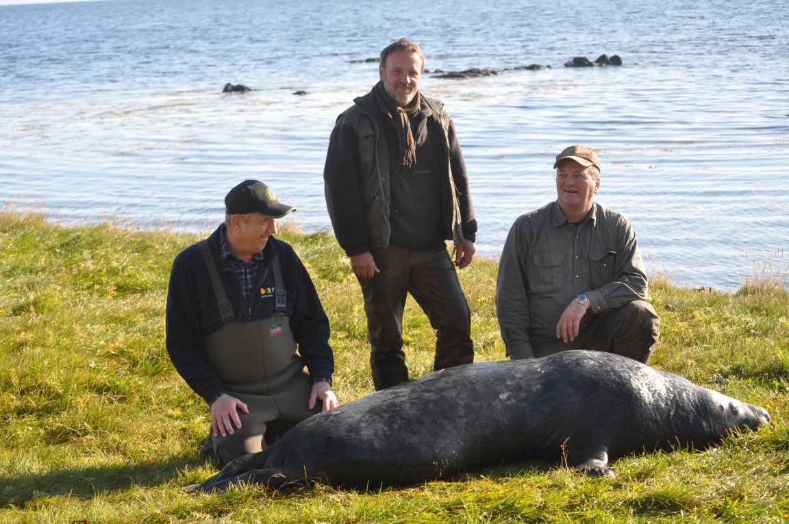 Malepartus Jagdreisen - Island