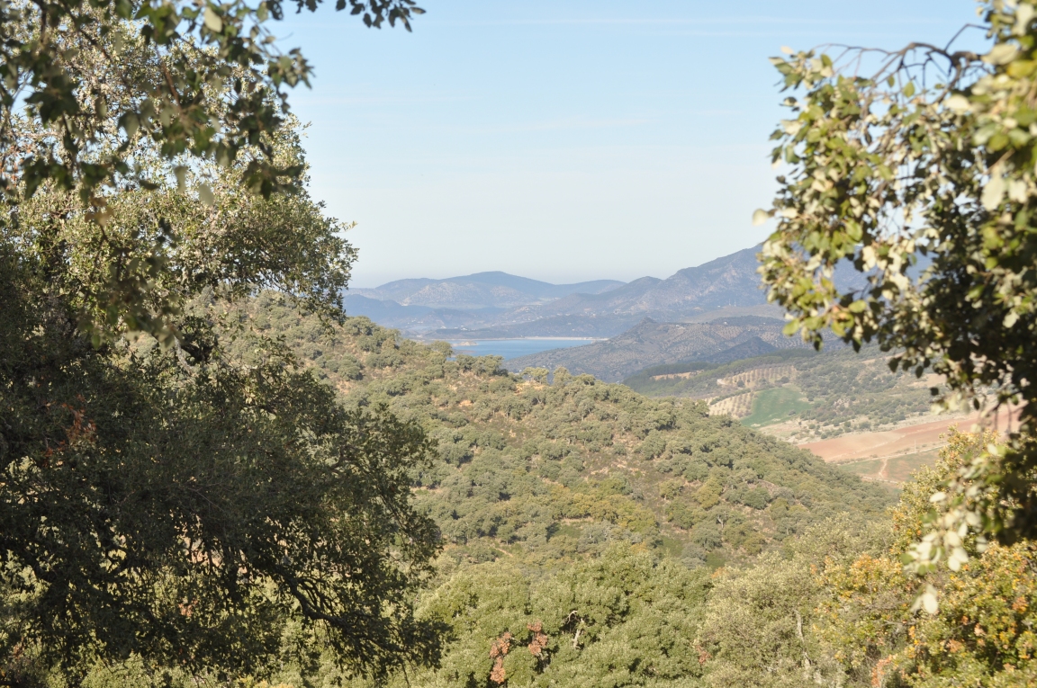 Malepartus Jagdreisen - Monteria in Spanien