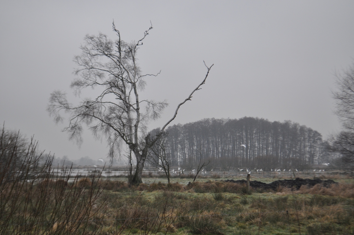 Malepartus Jagdreisen - Abchasien