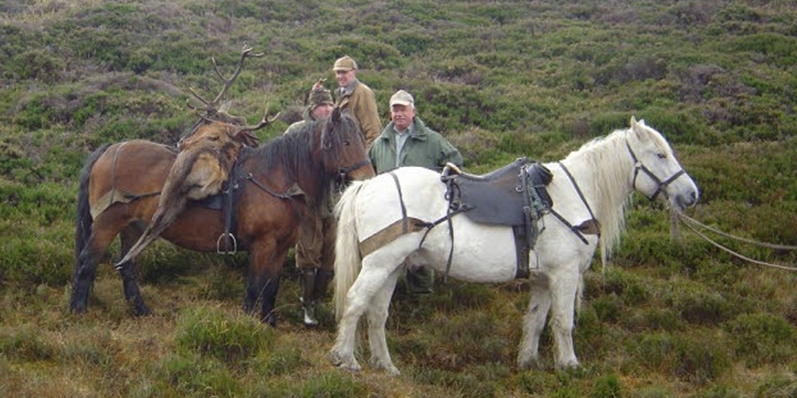 Malepartus Jagdreisen - Schottland