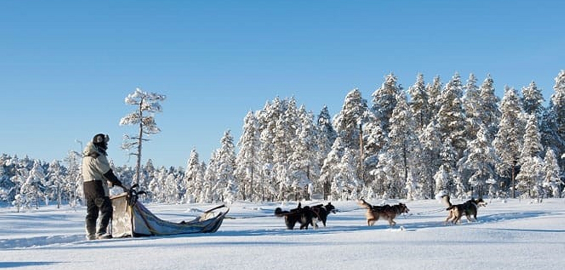 Malepartus Jagdreisen - Schweden