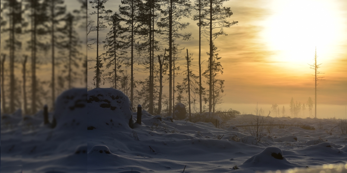 Malepartus Jagdreisen - Schweden